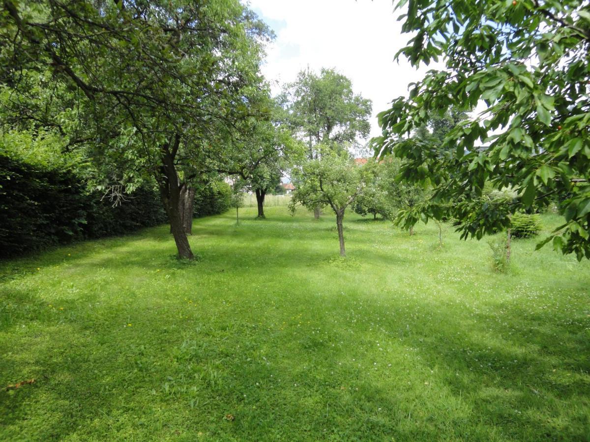Zeilinger Villa Knittelfeld Exterior foto